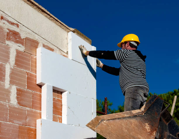 Best Insulation Maintenance and Repair in Holly Springs, NC