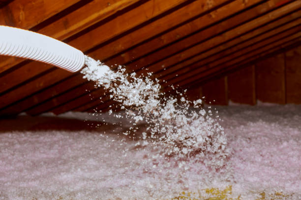 Best Specialized Insulation Services in Holly Springs, NC