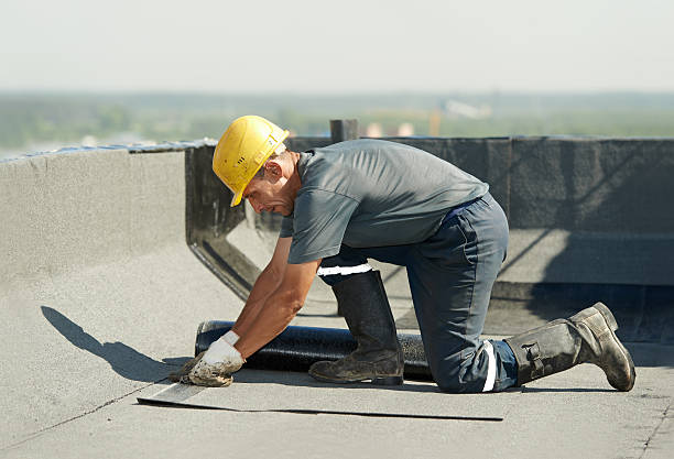 Types of Insulation We Offer in Holly Springs, NC
