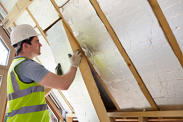 Best Geographic-Specific Insulation Services in Holly Springs, NC