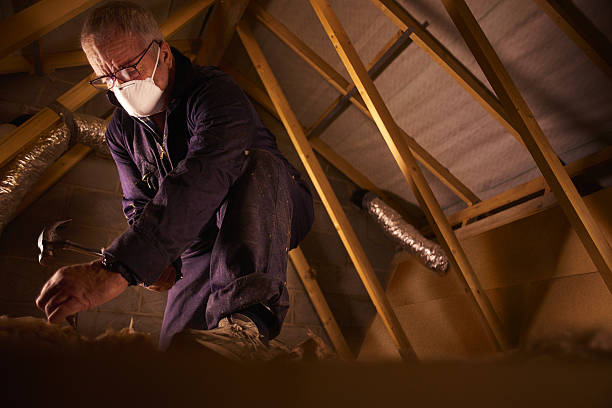 Best Cellulose Insulation in Holly Springs, NC