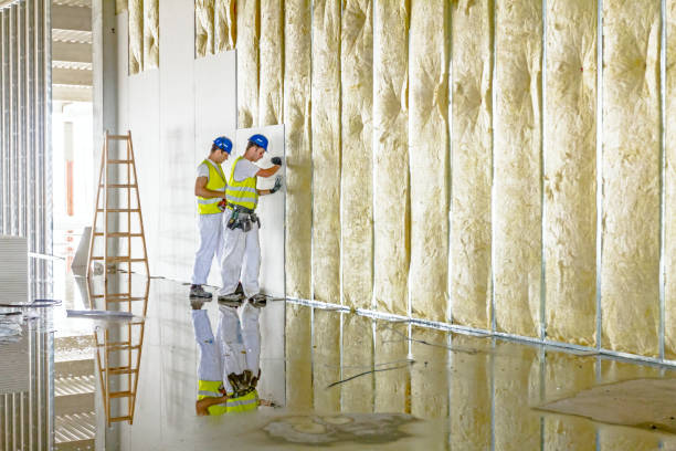Best Spray Foam Insulation in Holly Springs, NC